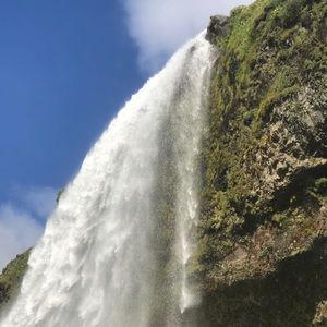 Meet your Posher, Sharon